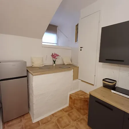 Flowers Appartments 公寓 维尔纽斯