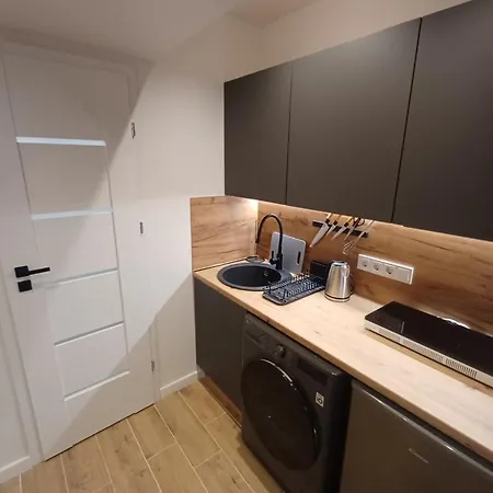 Flowers Appartments Апартаменты Вильнюс