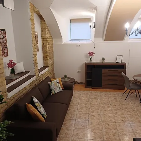 公寓 Flowers Appartments 维尔纽斯