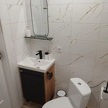 Flowers Appartments 公寓 维尔纽斯