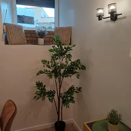 Flowers Appartments *