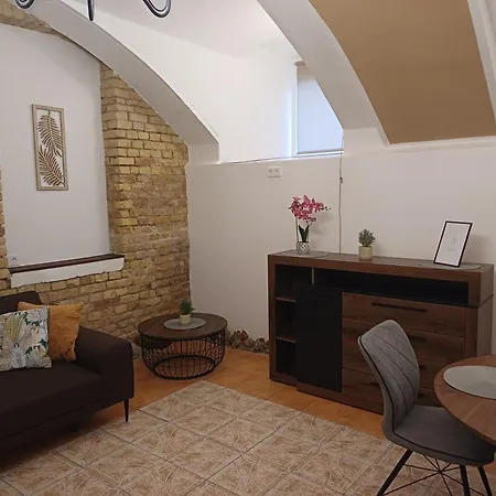 公寓 Flowers Appartments 维尔纽斯