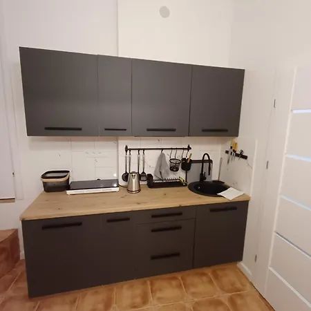 公寓 Flowers Appartments 维尔纽斯