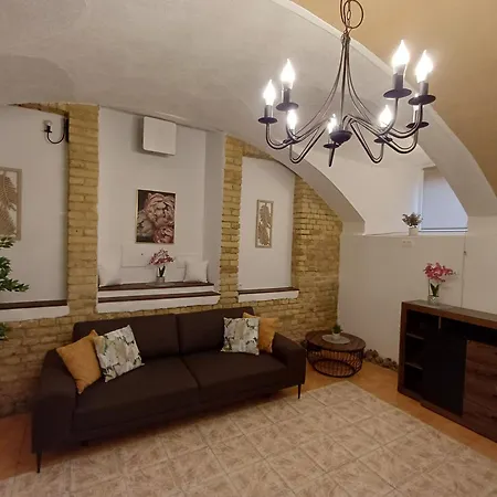 公寓 Flowers Appartments 维尔纽斯