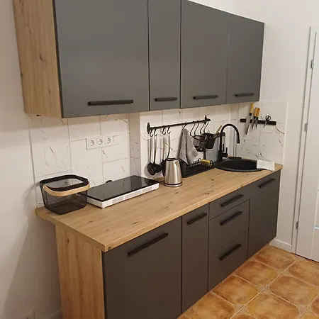 Flowers Appartments Вильнюс