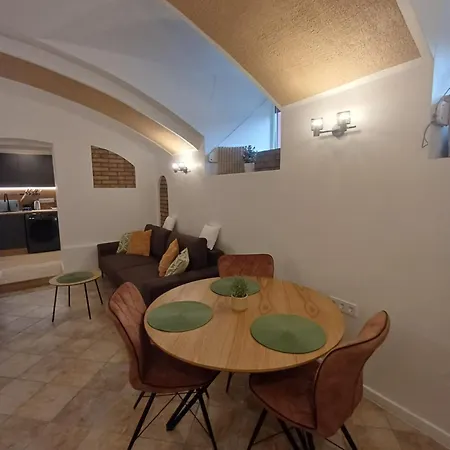 Flowers Appartments 维尔纽斯