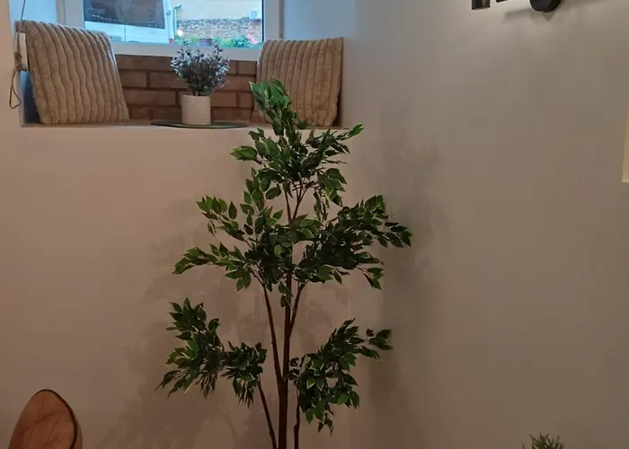 Flowers Appartments *