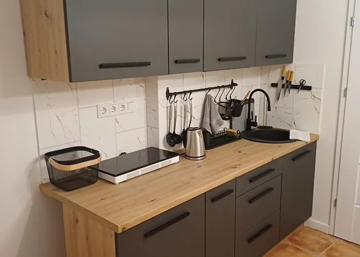 Flowers Appartments Vilnius