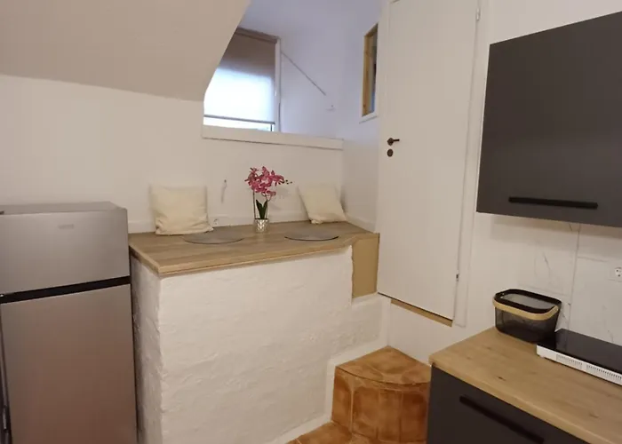 Flowers Appartments Апартаменты Вильнюс