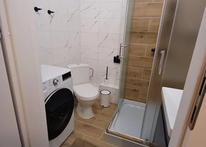 Апартаменты Flowers Appartments Вильнюс