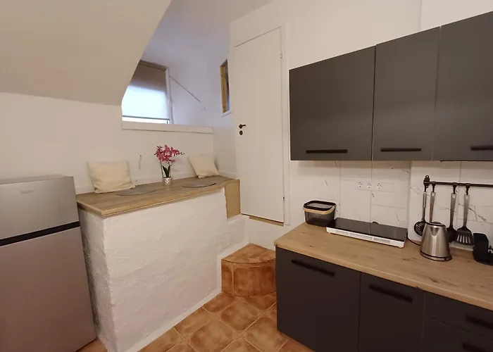 Апартаменты Flowers Appartments Вильнюс