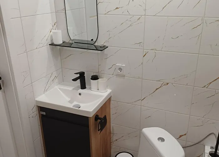 Flowers Appartments Апартаменты Вильнюс