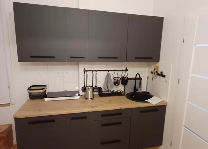 Апартаменты Flowers Appartments Вильнюс