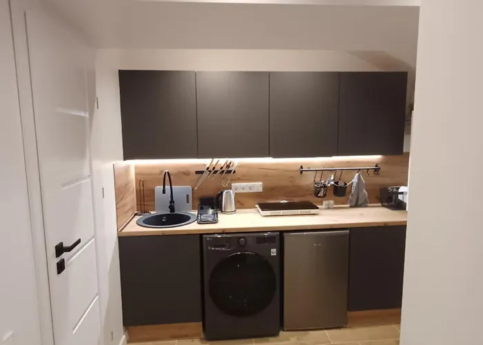 Flowers Appartments Апартаменты Вильнюс