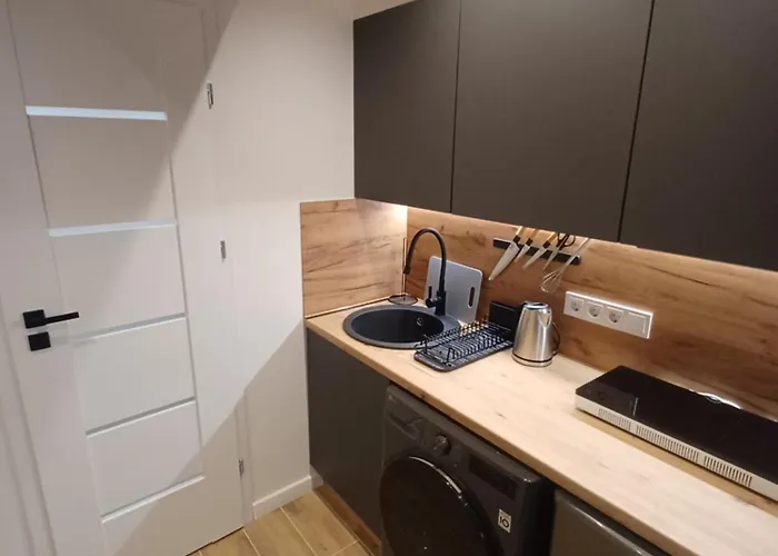 Flowers Appartments 아파트 빌뉴스