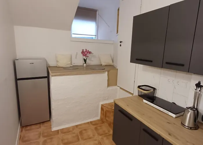 Flowers Appartments 아파트 빌뉴스